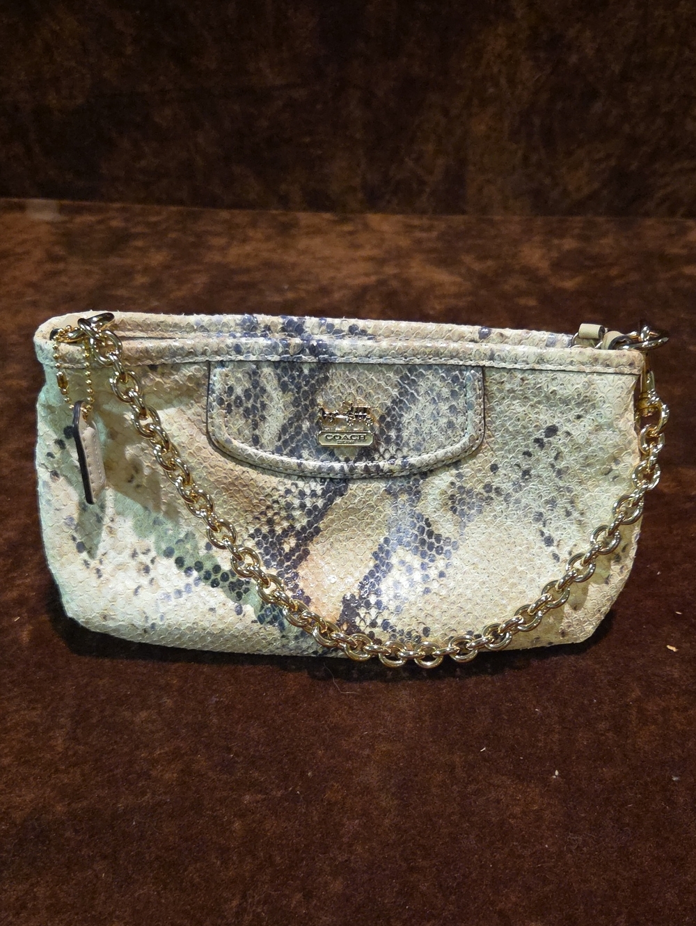 Coach Cream Snake-Print Clutch with Gold Chain